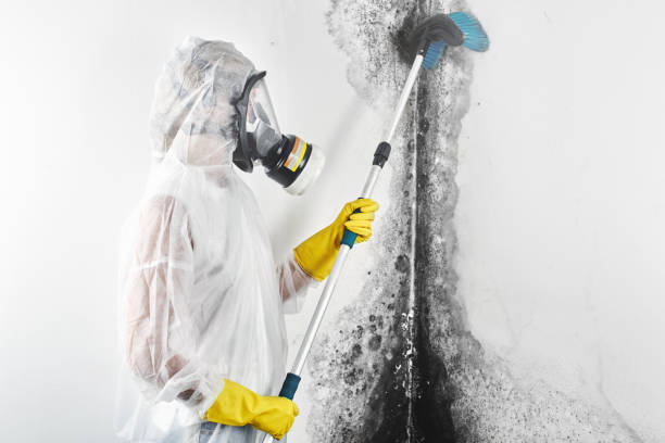 Best Biohazard Mold Removal  in Brown Station, MD
