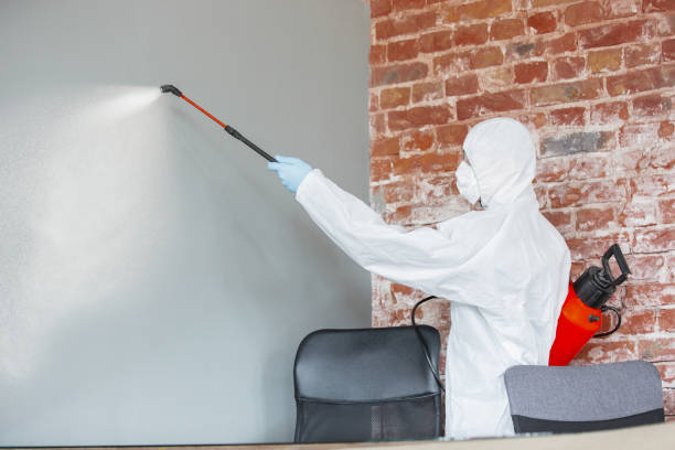 Best Mold Documentation for Insurance Claims  in Brown Station, MD