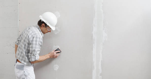 Best Water Damage & Mold Remediation  in Brown Station, MD