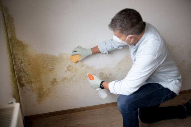Best Mold Documentation for Insurance Claims  in Brown Station, MD