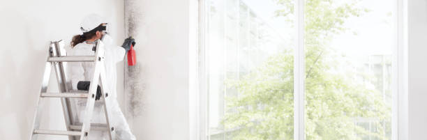Best Mold-Related Health Consultation  in Brown Station, MD