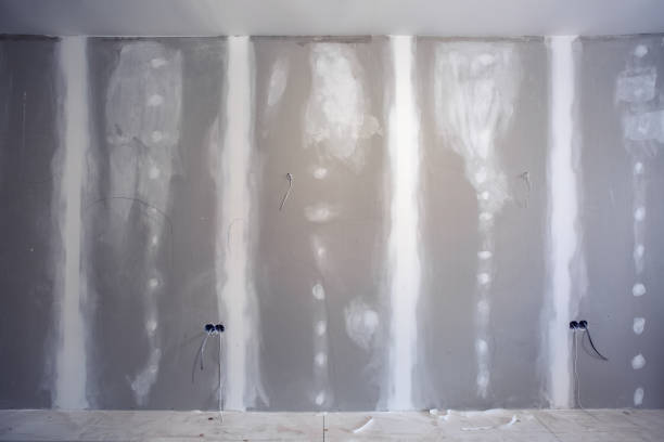 Best Commercial Mold Inspection  in Brown Station, MD